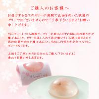 【送料込み】桜咲くさくらゼリーと葛ようかんのセット　9個入