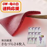 【送料応援!送料込み】さなづら　(24枚入)