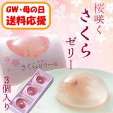 【送料応援!送料込み】桜咲くさくらゼリー　3個入