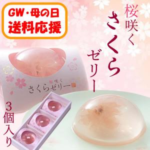 【送料応援!送料込み】桜咲くさくらゼリー　3個入