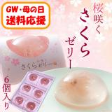 【送料応援!送料込み】桜咲くさくらゼリー　6個入
