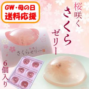 【送料応援!送料込み】桜咲くさくらゼリー　6個入