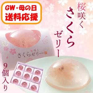 【送料応援!送料込み】桜咲くさくらゼリー　9個入