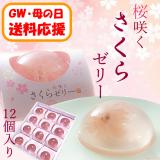 【送料応援!送料込み】桜咲くさくらゼリー　12個入