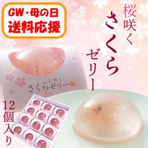 【送料応援!送料込み】桜咲くさくらゼリー　12個入