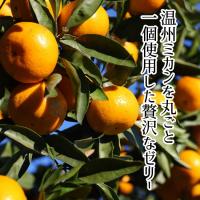 【季節限定】まるごとみかんゼリー(9個)