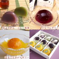 【送料込】榮太楼の涼菓9個セット