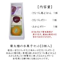 栄太楼の水菓子セット【3個】